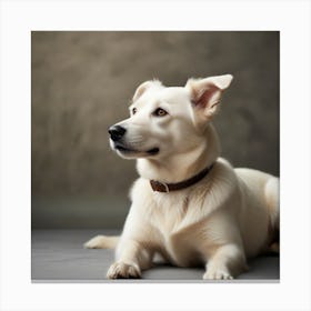 Portrait of White Dog Canvas Print