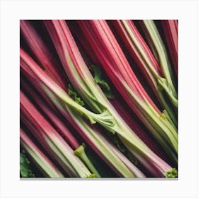 Rhubarb 97 Canvas Print