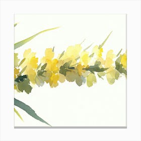 Yellow Daffodils Canvas Print