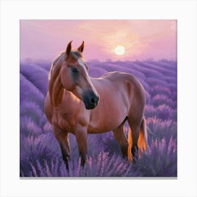 Horse In Lavender Field 7 Canvas Print