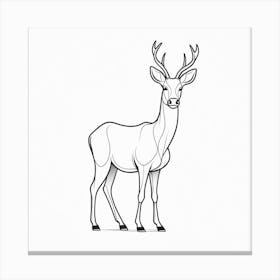 Deer Drawing Canvas Print