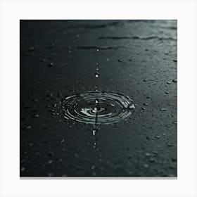 Water Drop On A Black Surface Canvas Print