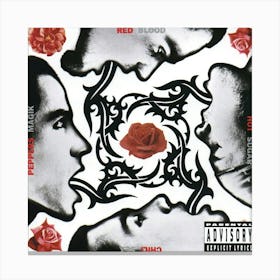 Rhcp Album Cover 9 Canvas Print