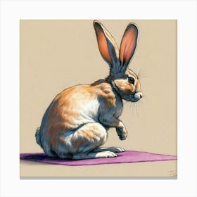 Rabbit On Yoga Mat Canvas Print