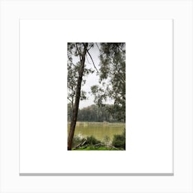 Sydney Park Canvas Print