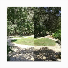 Park Before And After Canvas Print