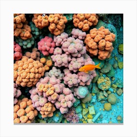 Coral Reef56 Canvas Print