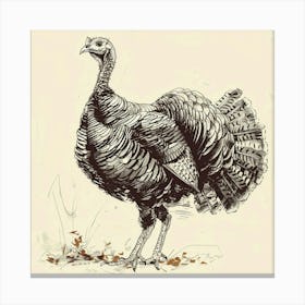 Turkey Canvas Print