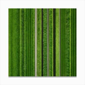 Aerial View Of A Green Field Canvas Print