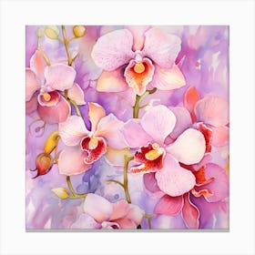 Orchids Canvas Print