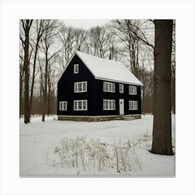 Black House In The Woods Canvas Print