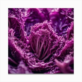 Purple Cabbage 1 Canvas Print