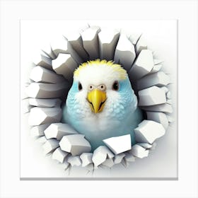 Bird In A Hole Canvas Print