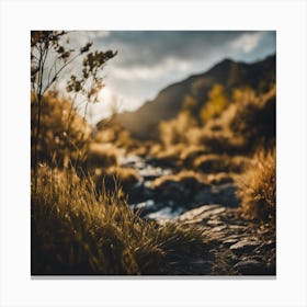 Sunset In The Mountains Canvas Print