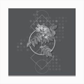Vintage Kamtschatka Rose Botanical with Line Motif and Dot Pattern in Ghost Gray n.0074 Canvas Print