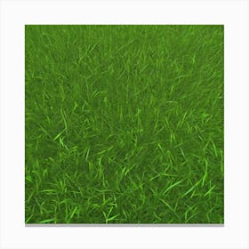 Grass 5 Canvas Print