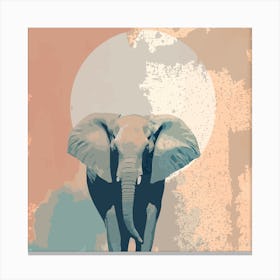 Elephant in the sunset Canvas Print