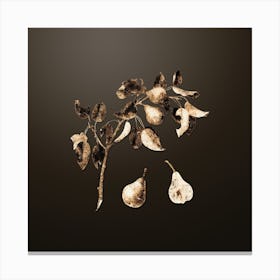 Gold Botanical Pear on Chocolate Brown n.4667 Canvas Print