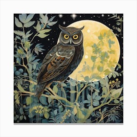 Owl At Night Canvas Print