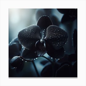 Orchids In The Rain Canvas Print