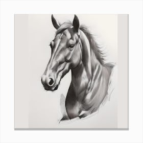 Horse Portrait Canvas Print