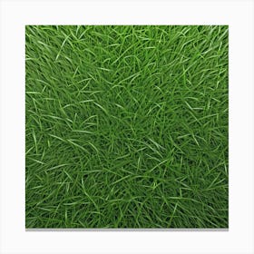Grass Background 7 Canvas Print