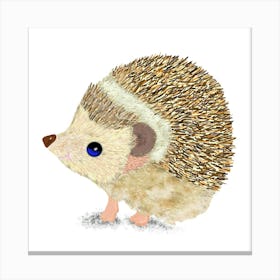 Hedgehog 1 Canvas Print