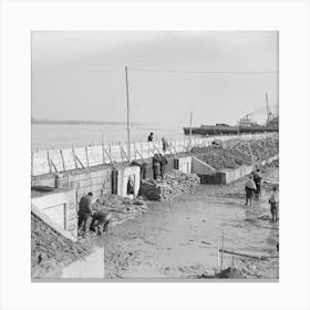 Piling Sandbags Along The Levee During The Height Of The Flood, Cairo, Illinois By Russell Lee Canvas Print