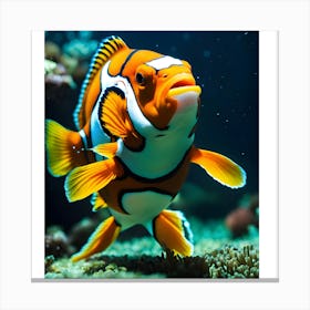 Clownfish 1 Canvas Print