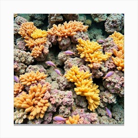 Coral Reef In The Red Sea4 Canvas Print