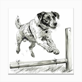 Dog Jumping Over A Fence Canvas Print