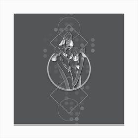 Vintage Elder Scented Iris Botanical with Line Motif and Dot Pattern in Ghost Gray n.0242 Canvas Print