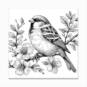 Line Art sparrow 2 Canvas Print