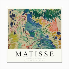 Matisse (36) Canvas Print