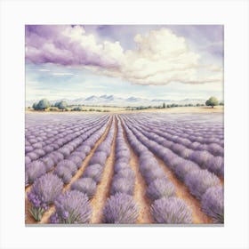 Lavender Field 3 Canvas Print