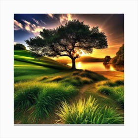 Tree At Sunset Canvas Print