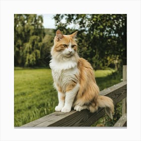 Orange Tabby Cat Sitting On Fence Canvas Print