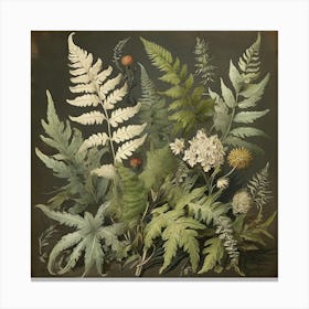 Painted Fern Wildflower Vintage Botanical Art Print 2 1 Canvas Print