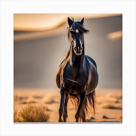 Black Horse In The Desert Canvas Print
