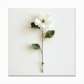 White Flower 1 Canvas Print