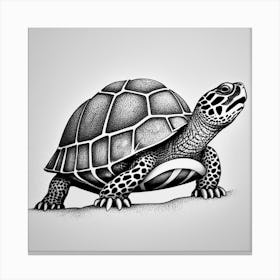 Turtle In Black And White Canvas Print