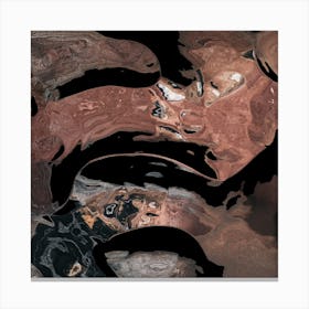 Black Desert Waters Canvas Print