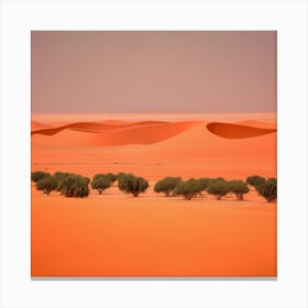 Sahara Desert 21 Canvas Print