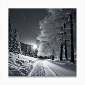 Snowy Path 1 Canvas Print