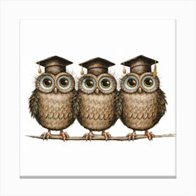 Wisdom Wonders Print Art Depict Comical University Owls Wearing Graduation Caps, Merging Humor And Academia For A Charming Wall Decor Piece Canvas Print