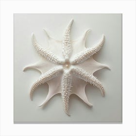 Starfish 2 Canvas Print