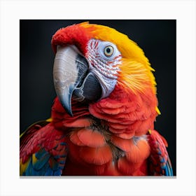 Colorful Parrot 11 Canvas Print