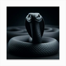 Black Cobra 4 Canvas Print