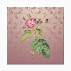 Vintage Harsh Downy Rose Botanical on Dusty Pink Pattern Canvas Print