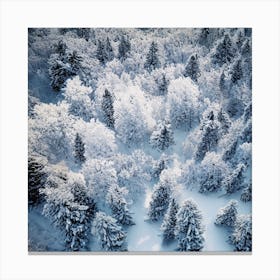 Aerial View Of Snow Covered Forest 1 Canvas Print